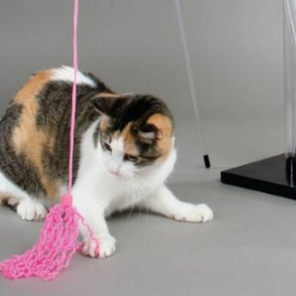 Cat Toy Perfect Curly Wand New w/ Tag! - Picture 2 of 3